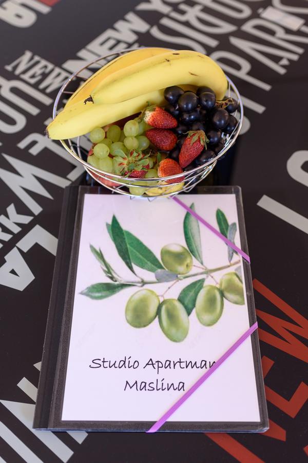 Studio Apartment Maslina Gornji Karin Værelse billede